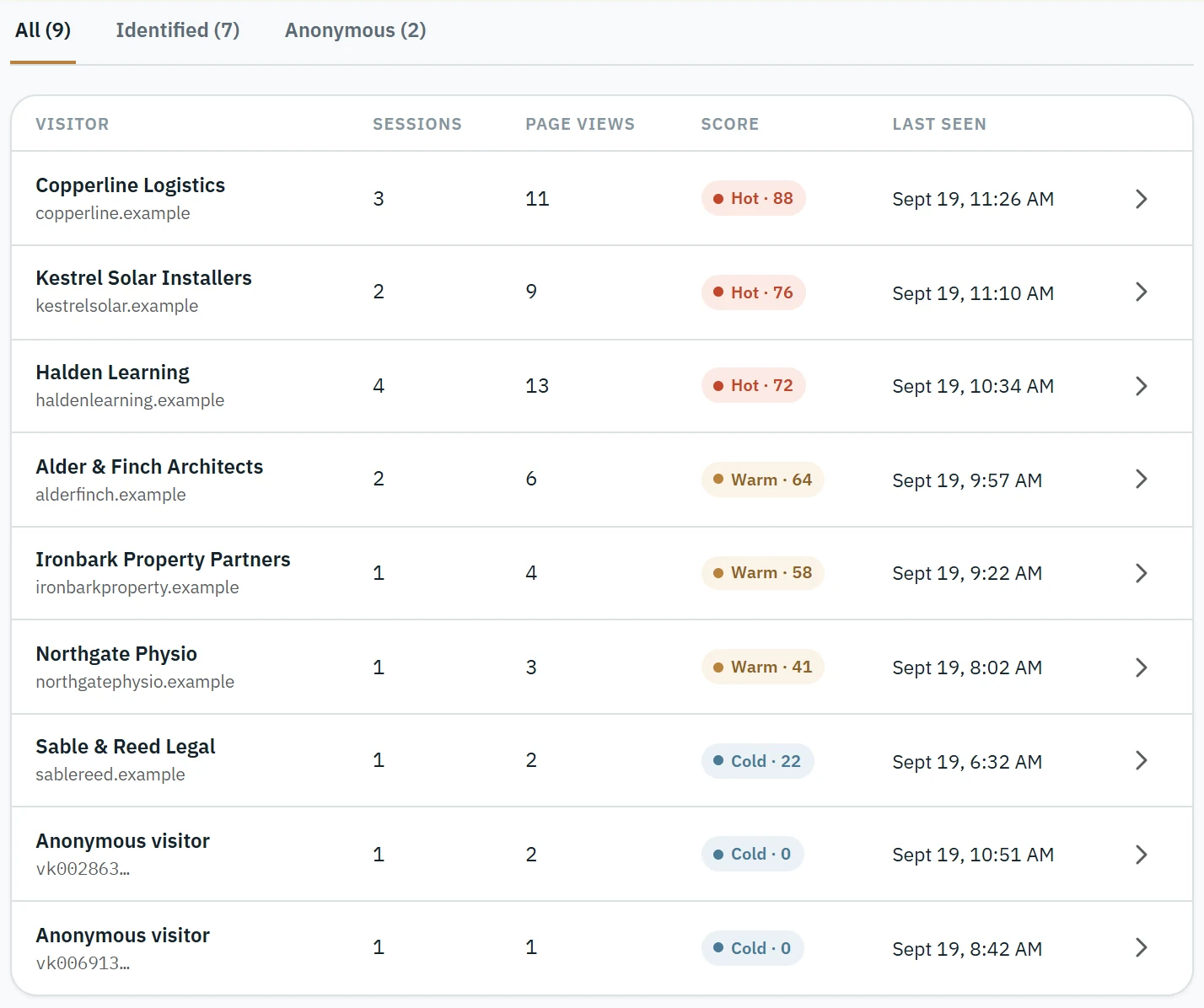 The Visitors page in CRM-007, listing identified companies with visit counts and lead scores.
